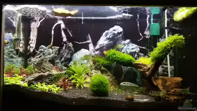 Nano Eigenbau von Lucky3310