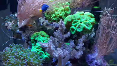 Nano High Tower von garnelenhunter