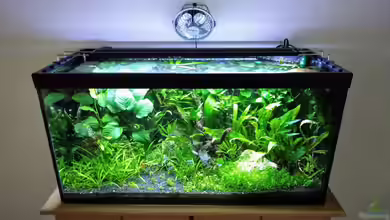 NanoOase von Mike Steidl