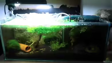 Nanopfütze von Teh_D