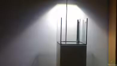 NanoReef von Hai Dang Ngo