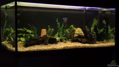 Natural Home von Sebastian Wolff