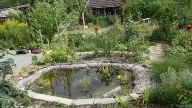 Naturnaher Gartenteich von Acki50