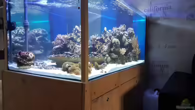 Nautilus von Kai Heermann