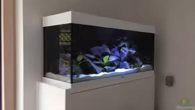 Neustart Malawi von Benjamin Schmider