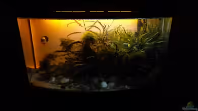 New Beginning... von Martin W.