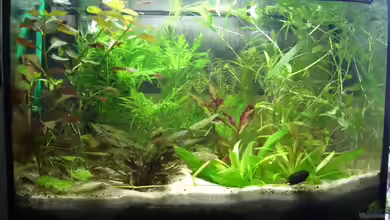 New Nano ;) von Barabas