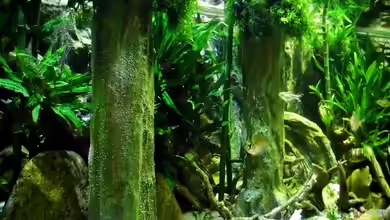 New Underwater World von snooze