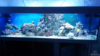 NewHomeForDoc von Wiege