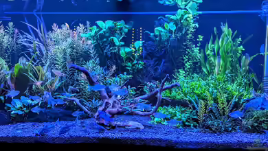 Night von Marco Klaus