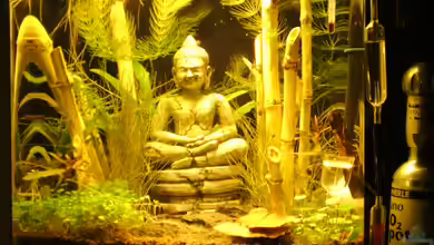 Nisso-Nano von Sailfish