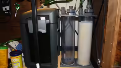 Nitratharz im Aquarium: Wirkung, Anwendung und langfristige Strategien für stabiles Wasser