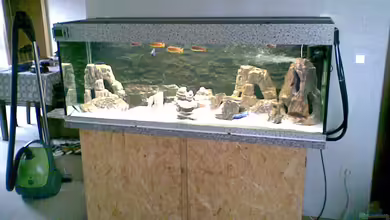 Nkhata Bay von Torsten Bullmahn