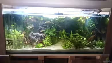 Noch ohne Name und noch nicht fertig ;) von GonZo