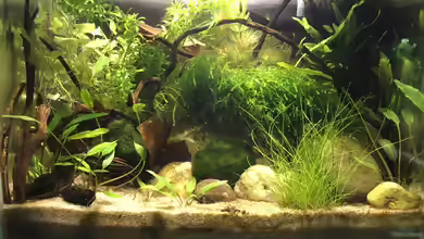 Notfallbecken von Maji