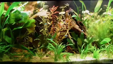 Nr.2 von Susanne Kruse