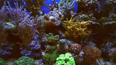 Nudelwasser von Helmut Kreutmayer