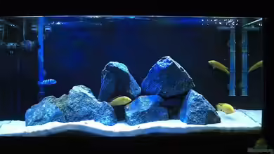 nur noch 200 Liter Malawi Beispiel von Matoba