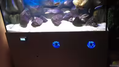 nur noch 630 Liter Malawi Beispiel von Matoba