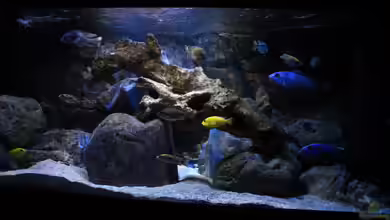 Nur noch als Beispiel von Steffen G