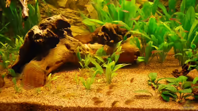 Nur noch als Bsp. von matthiasm