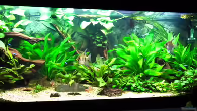 nur noch Beispiel von Sarah