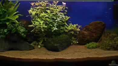 OPEN WORLD ² von I.R.C.H.A