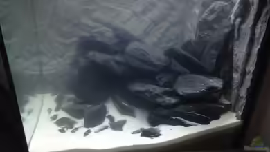 Ost Afrika von Lothar_Fuchs