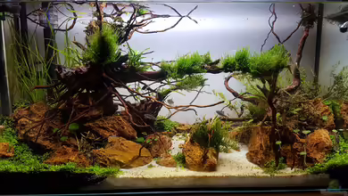 Out of the dark- Into the sunset von JalaRoki