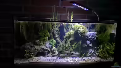 Outdoorbecken von Heike Fuchs