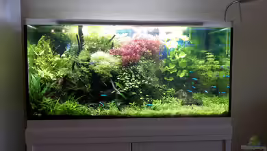 Outta Jungle(aufgelöst) von Der Nicky