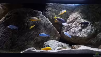 pakati pa miyala von TheToxicAvenger