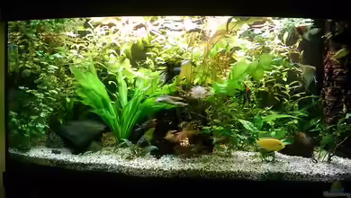 Panorama 270 von korabol