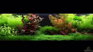 Panorama Dream von Bjarke