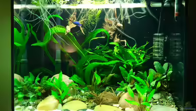 Paradise City von Jezzy