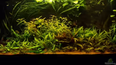 Paradoxworld von FrankenTho