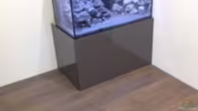 Patrick 1st one... von Pa Mi