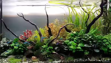 Pflanzenwelt (Nur noch Beispiel) von YoshiMaus