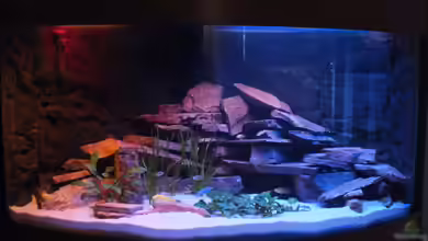 Porphyr Rocks von Slay