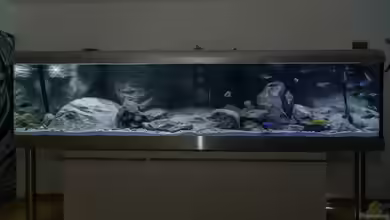 Predators World von ClioB