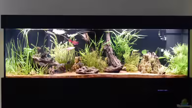 Project Family-Tank von Christof Engel