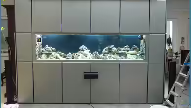 Project in der Firma von OldFriend