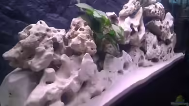 Project Malawi © bkay13 von Brian W.