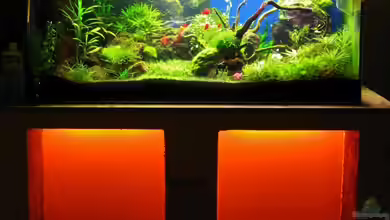 Projekt 160 liter von Bartosz Jung