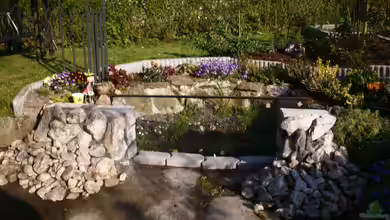 Projekt Guck in den Teich von mocheda