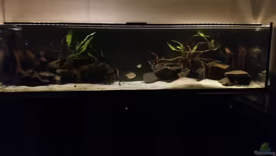 Räuberbecken von David S.