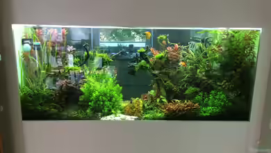 Raumteiler (400L) von Der_Renner