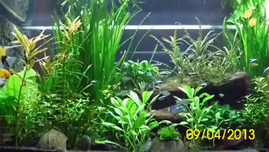 Raumteiler Südamerika/Gesb. Nur noch als Beispiel von Günther Kröger