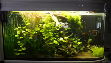 Raumteiler von nola46