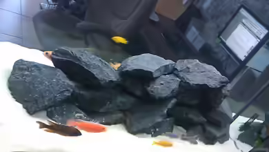 Raumteiler von 360° Malawi